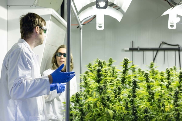 Une économie diversifiée et innovante