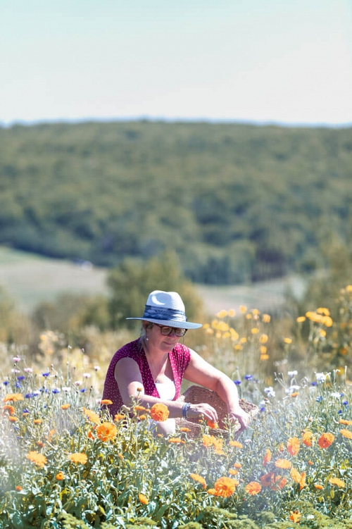 Worker in a field of flowers in Témiscouata, RCM of the Bas-Saint-Laurent region